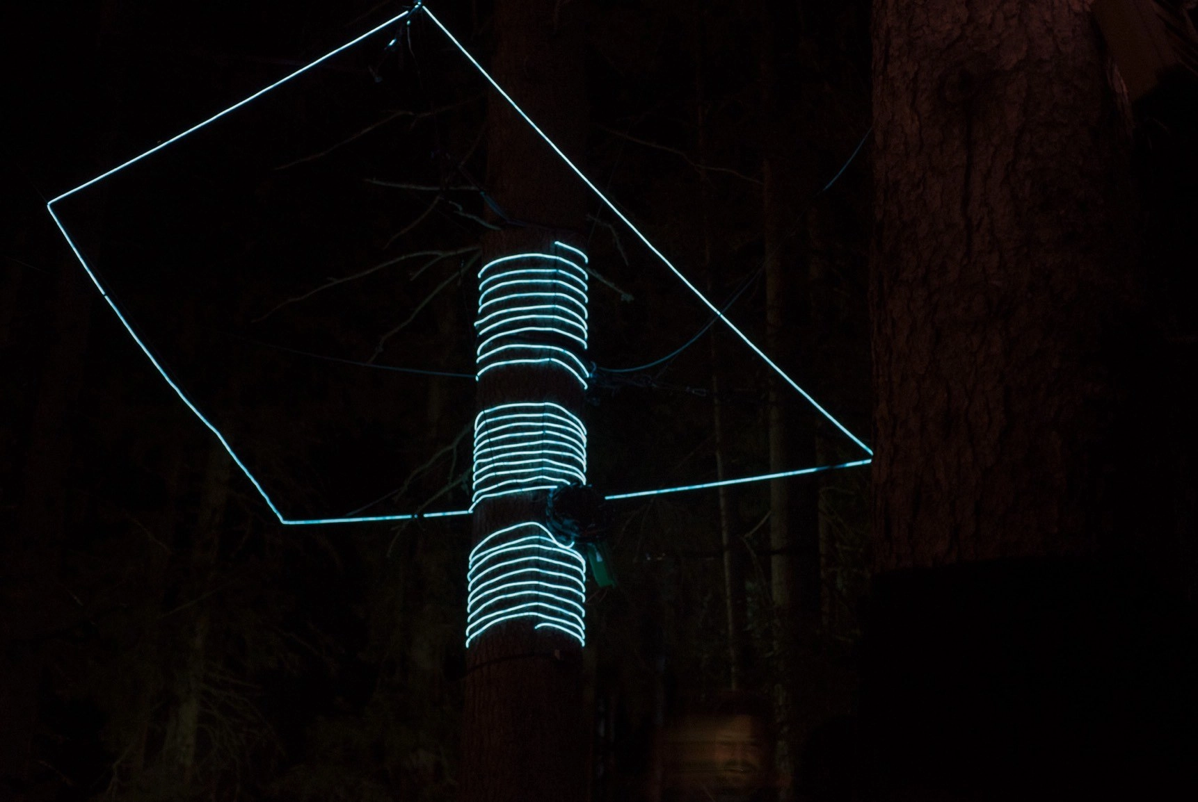Elektrolumineszenz-Kabel in einem Baum und um den Stamm gewickelt